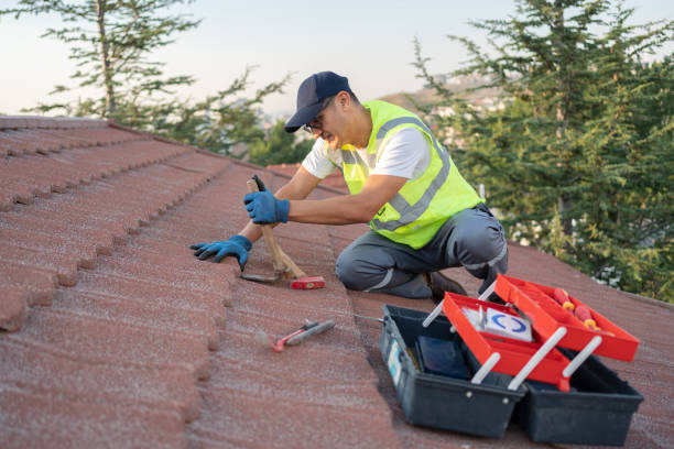 Best Roof Gutter Cleaning  in Terre Hill, PA